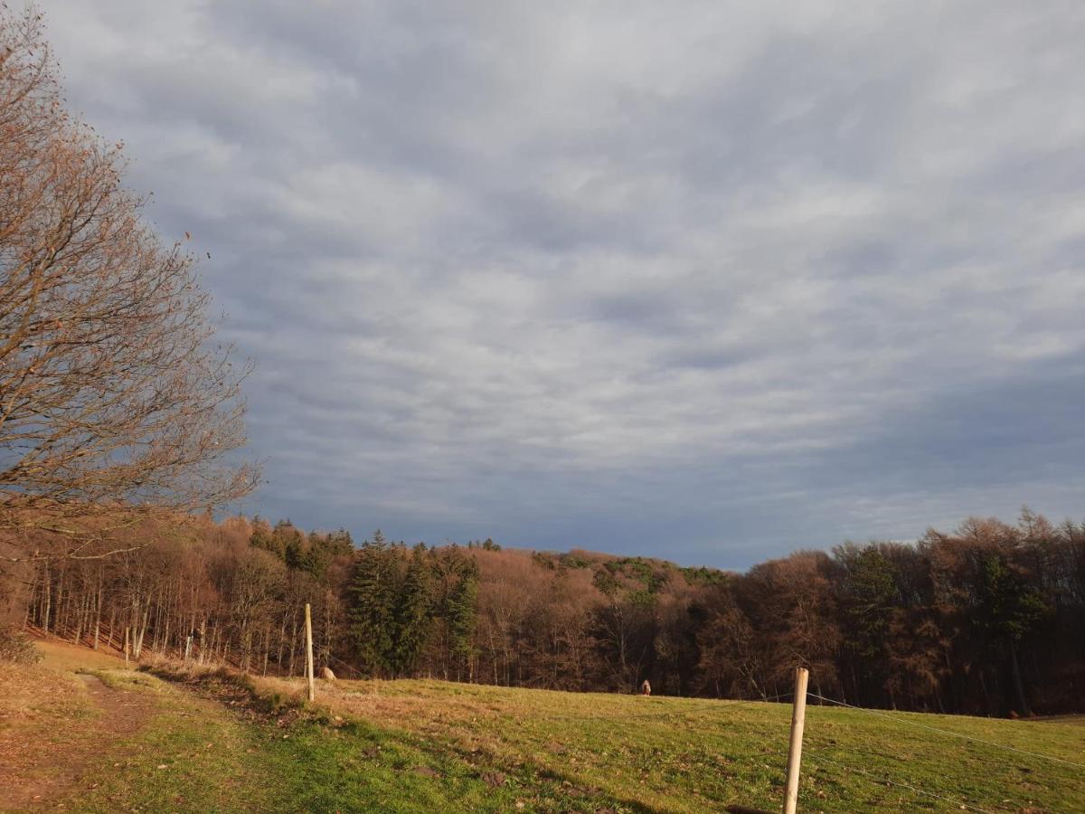Erholungsheim Im Wienerwald Irenental Esterno foto