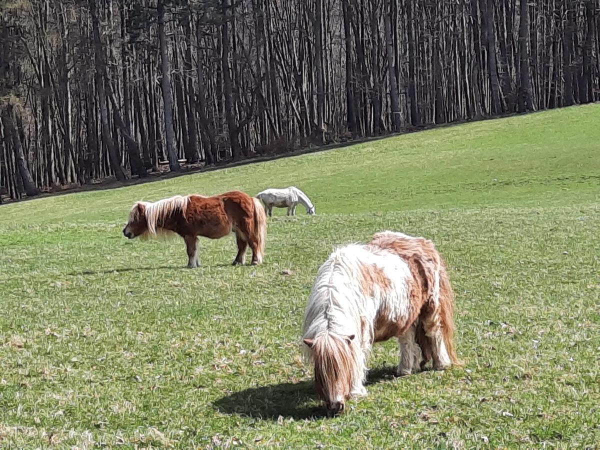 Erholungsheim Im Wienerwald Irenental Esterno foto