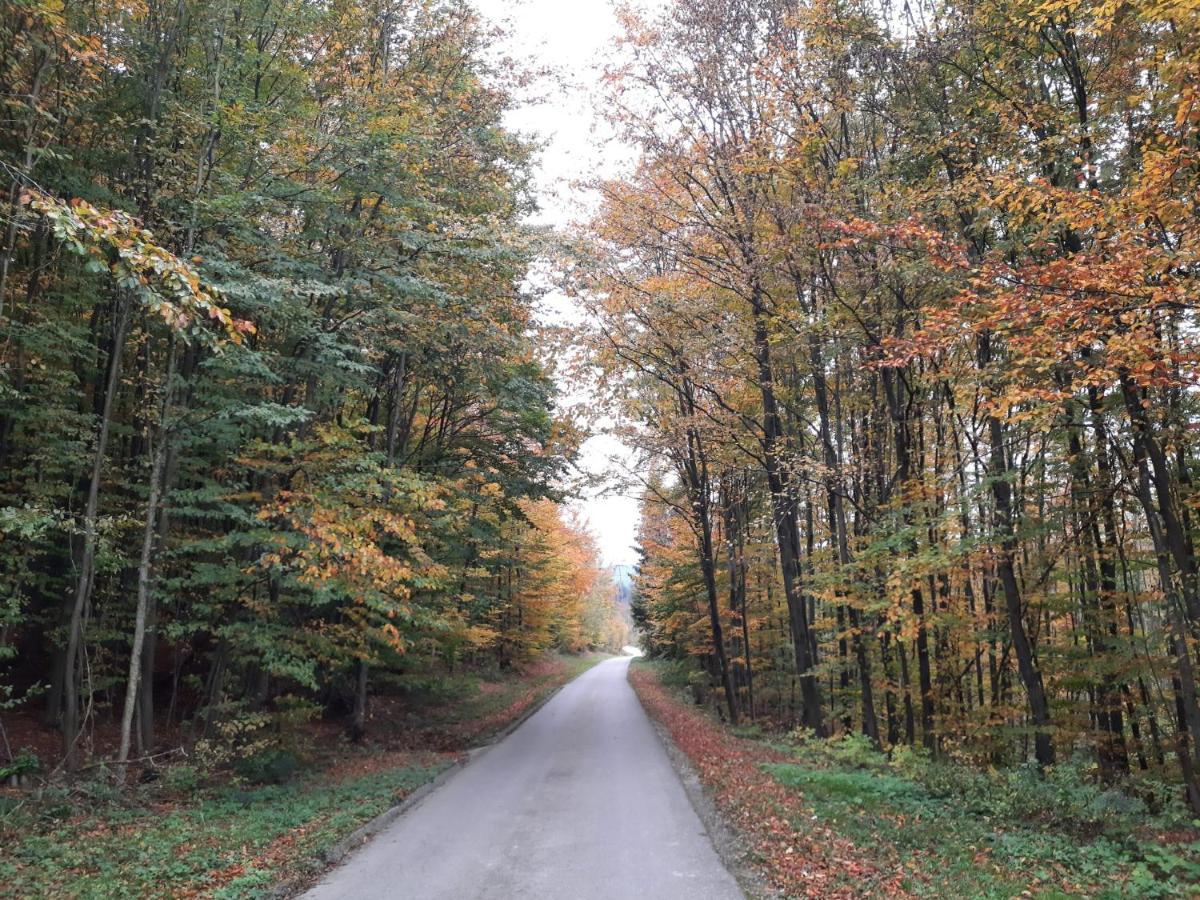 Erholungsheim Im Wienerwald Irenental Esterno foto